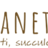 15% Off Planet Desert